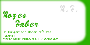 mozes haber business card